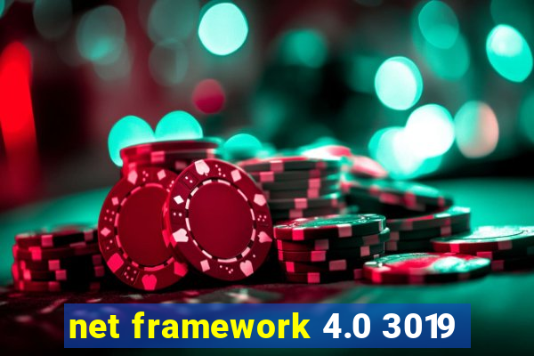 net framework 4.0 3019